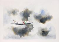 Fokker 100 Portugalia II Painting
