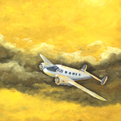 Pintura al leo de aviones / Planes