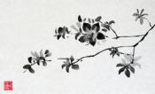 Azaleas